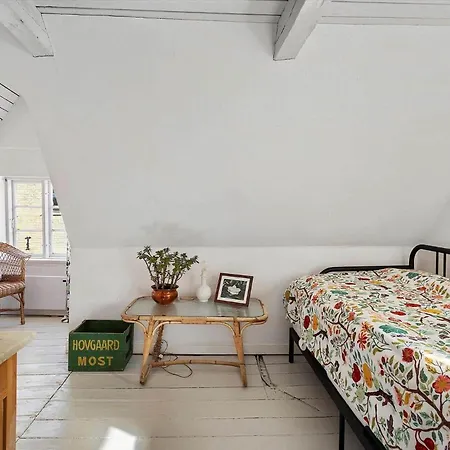 Ferienhaus Ae322-aeroskobing-norregade-30 *